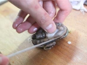 用刀紧贴着壳边，将鲍鱼肉从壳子里剔除来，去掉鲍鱼黄等内脏杂物，切掉鲍鱼的裙边