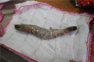 将虾表面的水分擦干净