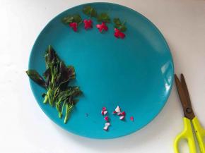 红萝卜皮“小花”加上香菜叶子假装花梗，按自己喜好摆一摆就好啦！