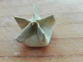 如图均等捏成五边形