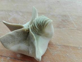 用大拇指同食指推搓的手法，将一个边推出褶子