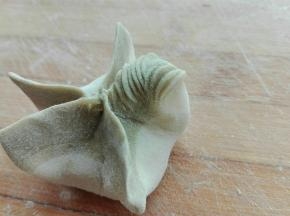 用大拇指同食指推搓的手法，将一个边推出褶子