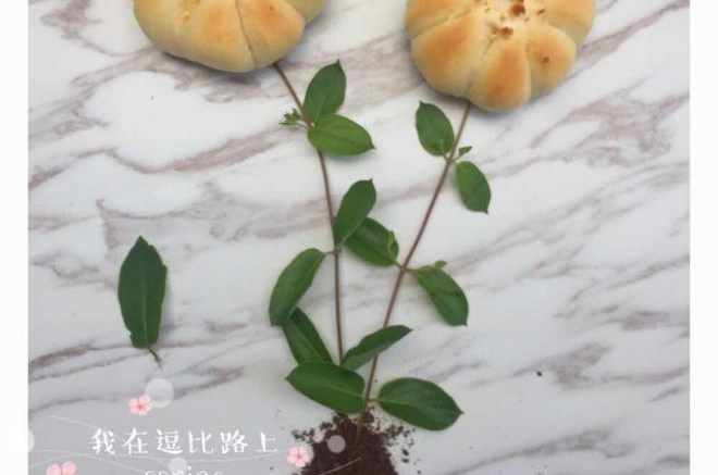 花朵面包