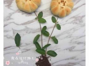 美美哒