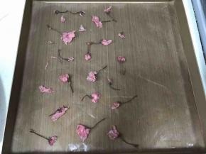 盐渍樱花用纯净水泡开，沥干水份，烤盘铺上油布，把樱花摆放好。随意摆哈