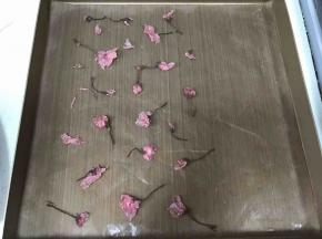 盐渍樱花用纯净水泡开，沥干水份，烤盘铺上油布，把樱花摆放好。随意摆哈