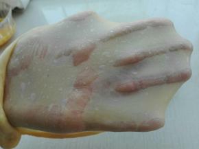 揉至可以拉开大片厚膜加入软化黄油，揉至扩展状态，如图所示