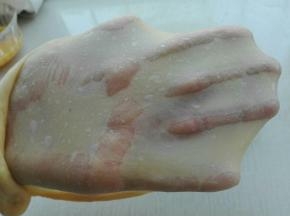 揉至可以拉开大片厚膜加入软化黄油，揉至扩展状态，如图所示