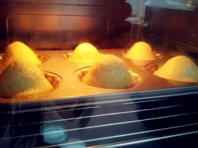 送入预热好的烤箱，180℃，中层，烤15分钟。