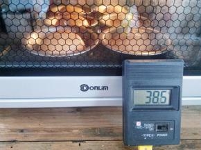 面团放入烤箱，选择发酵程序，实测温度38.5℃，时间35分钟