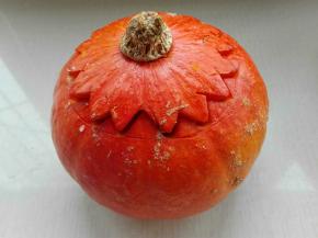 盖好盖子，上锅中火蒸熟即可（根据南瓜大小）