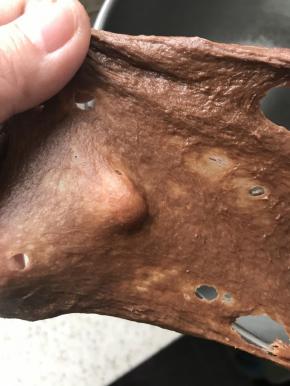 揉至粗膜，加入软化黄油继续揉，我是用厨师机三档揉的，大约揉13分钟。