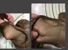 加入黄油之后揉13分钟，扯出手套膜。