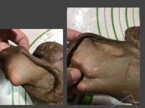 加入黄油之后揉13分钟，扯出手套膜。