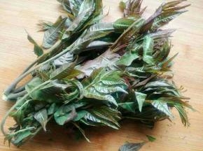 香椿一小把洗净