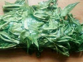 香椿进热水焯烫去掉大部分亚硝酸盐，香椿由红变绿色
