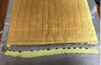 大约晾几分钟，不烫手时候就行，底下换张新新油纸，把蛋糕片放好，顶端切掉一小条，趁温热有弹性，空卷起来定型