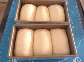 发至7-8分满，盖上盖子，烤箱预热180度，