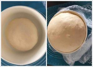 所有中种材料揉成光滑均匀的面团，放入盆中套个袋子密封放室温发酵，发至2.5-3倍大，我是室温发酵的中种，亲可以冰箱冷藏发酵一晚上