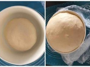 所有中种材料揉成光滑均匀的面团，放入盆中套个袋子密封放室温发酵，发至2.5-3倍大，我是室温发酵的中种，亲可以冰箱冷藏发酵一晚上