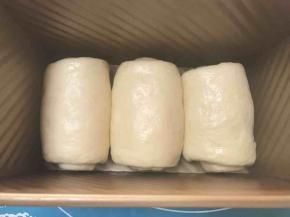 放入450克土司模具，放烤箱发酵，开发酵功能，低部放一盘热水