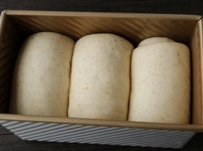 发至模具八分满，盖上模具盖子。