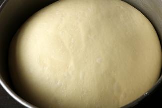 进行基础发酵。基础发酵两倍半，发酵结束。