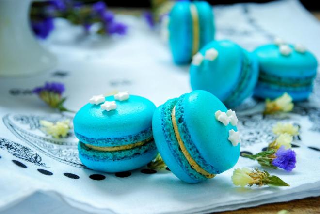 海洋之星——蓝色马卡龙