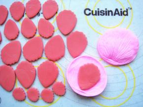 花瓣放在硅胶模具里压出纹路，依次做好。