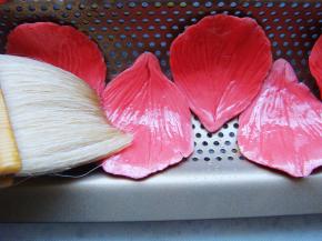 表面均匀的刷上一层食用油。