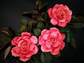 依次摆放好最后放入花蕊，花蕊涂抹少许蜂蜜撒点干桂花做点缀即可。