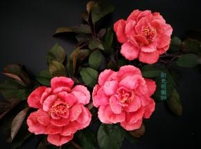 依次摆放好最后放入花蕊，花蕊涂抹少许蜂蜜撒点干桂花做点缀即可。