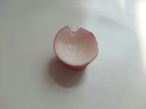 切一截萝卜头，中间稍往里挖，不要挖的太深