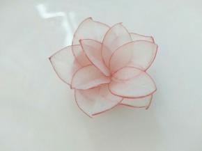 把花瓣一个个摆进去，我放了两层，立体感有了