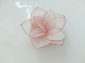 把花瓣一个个摆进去，我放了两层，立体感有了