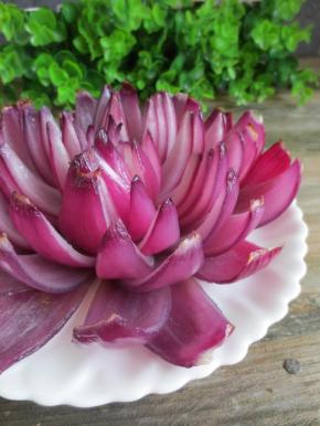 一朵绽放的洋葱花就美美的出现了