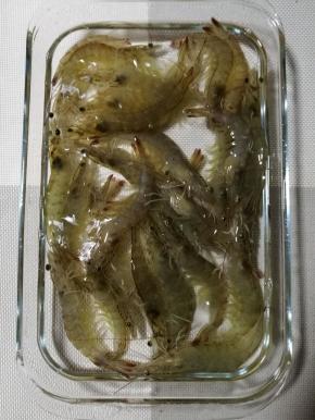 海虾洗净