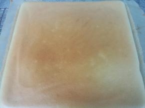 倒入模具（这里是28×28的方盘），轻震两下震出大气泡，送入预热好的烤箱，上火175度，下火155度烘烤20分钟即可。