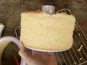 长的非常好呢！