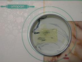 吉利丁片放入凉水中泡软。