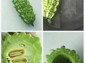 将苦瓜放入锅中，加入少许盐，焯水；焯好的苦瓜放入凉水中浸泡一下。苦瓜切去头尾，从前端用筷子戳穿至尾部将瓜瓤去除干净，苦瓜呈空心状。