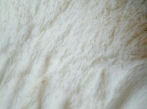 发酵好的面团撕开，是明显的蜂窝状