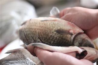 鱼身表面切斜刀，抹上盐、白胡椒粉腌制