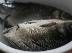 大概10分钟就可以，抹上少许的盐和白胡椒粉一是可以去腥味，二是可以让鱼更好的入味