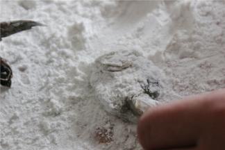 将虾肉沾上少许的淀粉，然后将虾拍打的扁平。一是为了让虾肉变的紧实，口感更嫩；二是能让虾肉沾上的淀粉更牢固，后续焯水和烹煮的过程中可以锁住虾肉里面的水分