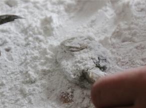 将虾肉沾上少许的淀粉，然后将虾拍打的扁平。一是为了让虾肉变的紧实，口感更嫩；二是能让虾肉沾上的淀粉更牢固，后续焯水和烹煮的过程中可以锁住虾肉里面的水分