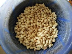 搓去花生衣后晾干水份