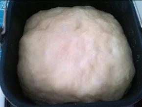 把中种材料混合后揉均匀，加盖保鲜膜入冰箱冷藏发酵18-24小时。