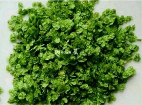 新鲜的榆钱，摘干净，用清水洗净