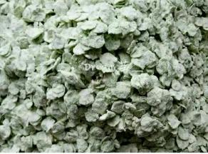 半干的时候加入面粉，来回用手轻轻揉搓，确保每片榆钱都要沾上面粉，面粉要适量多了是面嘎达，少了不好吃。